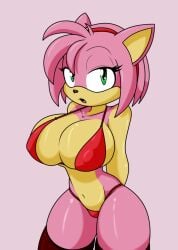 amy rose from sonic (series) by sandwich-anomaly