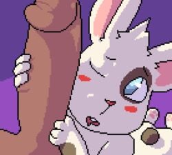 animated anthro big_penis blush erection genitals handjob humanoid_genitalia humanoid_penis kinkykong lagomorph leporid low_res male male/male mammal penile penis penis_on_face rabbit sex short_playtime simple_background tailwag