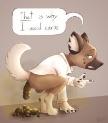 aggretsuko anthro anus ass balls black_pawpads bottomless bottomless_anthro bottomless_male brown_body brown_fur claws clothed clothing crouching english_text eyebrows fart fart_cloud feces feces_on_ground feces_pile finger_claws fur genitals gesture gloves_(marking) grey_background grey_eyes haida_(aggretsuko) half-closed_eyes hand_gesture hand_on_ground hi_res hyena inner_ear_fluff jadeder leg_markings looking_at_viewer male male_pooping mammal markings narrowed_eyes open_mouth pawpads pooping_on_floor raised_eyebrows raised_tail sanrio scat scatplay signature simple_background socks_(marking) solo speech_bubble tail talking_to_viewer teeth text toe_claws tuft underlined_text white_body white_clothing white_fur white_inner_ear_fluff
