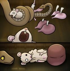 abuse ambiguous_gender anthro ball_biting ballbusting bite biting biting_balls brown_body castrated castration caught cbt cock_and_balls_torture forced lying male mammal mouse murid pain predator/prey rat reptile restrained sadism sadistic scalie sewer smile smiling snake squeezing suear tear teardrop tears torture venom white_body white_fur x-ray yellow_eyes