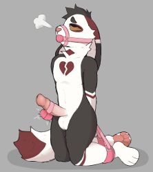 anthro ball_gag balls bondage bound brown_eyes cuff_(restraint) domestic_cat egg_vibrator erection felid feline felis fur gag gagged genitals hi_res humanoid_genitalia humanoid_penis hybrid kneeling lagomorph leporid male male_only mammal muzzle_(object) muzzled pawpads penis rabbit restraints rookspirit sex_toy solo solo_male tail vibrator