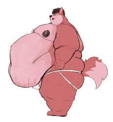 1boy anthro bara belly belly_overhang big_belly big_moobs big_nipples butt canid canine canis cellulite clothed clothing domestic_dog fat fat_male fluffy fluffy_tail fupa hi_res huge_belly husky jockstrap jockstrap_only licking licking_lips love_handles male male_only mammal moobs navel nipples nordic_sled_dog overweight overweight_male smile solo spitz standing tail tcw thick_thighs tongue tongue_out topless underwear underwear_only