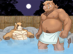 2021 balls barazoku barely_visible_balls barely_visible_genitalia barely_visible_penis bathing belly brown_body brown_fur canid canine closed_eyes detailed_background duo flaccid fur genitals hot_spring jacklantern_11 kemono male male_only mammal moobs muscular muscular_male navel night nipples onsen ororwide11 outside penis raccoon_dog sitting suid suina sus_(pig) tanuki towel water wet wild_boar