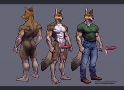 anthro balls belt big_penis blazingifrit boots bottomwear brown_body brown_eyes brown_fur brown_hair canid canine canis clothed clothing coyote denim denim_clothing english_text erection footwear fur genitals hair hybrid jeans knot letterbox male mammal martin_(wsad) model_sheet muscular muscular_male neck_tuft pants penis polo_shirt shirt solo tan_body tan_fur text topwear tuft white_body white_fur wolf