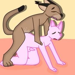 animal big_floppa bingus caracal cats domestic_cat furry gay hairless_cat male/male male_only male_penetrating meme penis sphynx_(cat) tapering_penis yaoi yiff