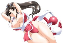 1girls female female_only human king_of_fighters mai_shiranui snk solo tagme toushi_ryoku