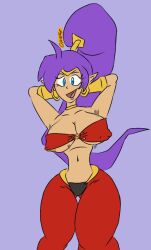 Shantae (Character) Rule 34 Image