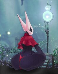 hornet (hollow knight) from hollow knight by welsummers