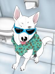 after_fellatio after_oral after_sex animal_genitalia balls bathroom black_balls black_nose blake_(consensualcanine) bodily_fluids brown_eyes canid canine canis clothing consensualcanine cum cum_in_eye cum_on_clothing cum_on_face cum_on_muzzle domestic_dog eyewear feral fur genital_fluids genitals german_shepherd herding_dog hi_res high-angle_view hoodie inside looking_at_viewer male mammal pastoral_dog quadruped sheath sitting solo sunglasses tail toilet toilet_paper tongue tongue_out topwear white_body white_fur