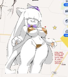 wplace fan art