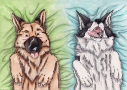 ambiguous_feral ambiguous_gender bedding bedding_background black_body black_fur black_nose bodily_fluids border_collie canid canine canis closed_eyes collie cum cum_in_mouth cum_inside cum_on_face domestic_dog duo feral fur genital_fluids german_shepherd glistening glistening_eyes herding_dog kola_(artist) lying mammal on_back open_mouth orange_body orange_eyes orange_fur pastoral_dog sheepdog white_body white_fur