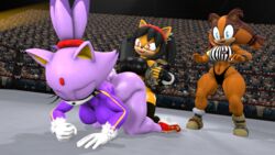 1futa 2girls 3d ashybiguy badger battle belt black_hair black_nose blaze_the_cat brown_body brown_hair caught clothing domestic_cat eyelashes fangs fingerless_gloves forced forehead_jewel furry futanari gloves group hair honey_the_cat human naughty_face orange_body orange_hair ponytail purple_body purple_hair rape sonic_(series) sticks_the_badger sticks_the_jungle_badger sticks_the_tejon twintails watching wwe yellow_body