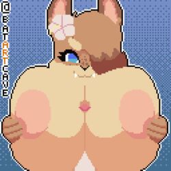 1:1 2021 accessory animated anthro areola batartcave big_breasts blue_eyes bodily_fluids breasts bunny_ears bunny_tail chest_fur chest_tuft cum cum_on_breasts cumshot duo ejaculation faceless_male female flower flower_in_hair fluffy_hair furry genital_fluids genitals gif hair_accessory hair_over_one_eye hazel_(shakotanbunny) lagomorph large_breasts larger_female leporid male mammal neck_fur neck_tuft nipples paizuri penis pixel_art plant pov rabbit rabbit_ears rabbit_tail sex short_playtime straight tagme two_tone_fur voluptuous voluptuous_female