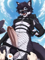 anthro assisted_exposure balls bandage bandage_on_face bandage_on_nose belt biped black_body black_fur black_hair blue_eyes blush canid canine clothing cloud collar disembodied_hand duo erection fangs fishnet_clothing fur genitals glans hair heart_symbol hi_res humanoid_hands inner_ear_fluff long_penis long_tail looking_at_viewer looking_down looking_down_at_viewer male male_only mammal maremare markings midriff nipple_outline open_mouth outside pantsing penis sky solo_focus speech_bubble surprised tail teeth tuft white_markings