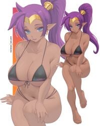shantae (character) from shantae by melowh