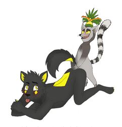 anal anthro blush canid canine canis dreamworks duo hair king_julien lemur looking_back_at_partner madagascar_(series) male male/male male_penetrated male_penetrating mammal nude open_mouth penetration primate sex simple_background size_difference small_dom_big_sub softdiamond stfranz_(artist) strepsirrhine tongue tongue_out wolf