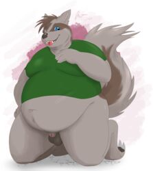 alex.fetter animal_genitalia anthro balls belly big_belly blue_eyes bottomless clothed clothing genitals hi_res jonah_(alex.fetter) kneeling linoone male male_only nintendo obese overweight pokemon pokemon_(species) sheath shirt solo t-shirt topwear video_games