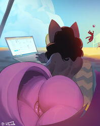 ass ball_(object) beach computer domestic_cat felid feline felis feliscede female genitals hair laptop lying mammal nude on_front pussy seaside sport volleyball volleyball_(ball) volleyball_net