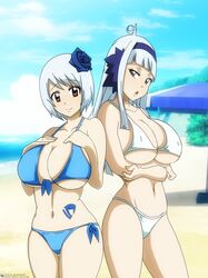 2girls absurd_res angel_(fairy_tail) beach big_breasts blue_hair bra color colored cute fairy_tail female_only full_color looking_at_viewer sisters sorano_aguria space-panda swimsuit yukino_aguria