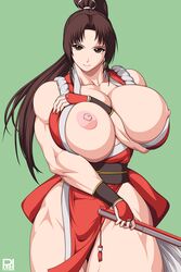 areolae artist_request athletic athletic_female big_breasts breasts breasts_out brown_eyes brown_hair busty fatal_fury female female_focus female_only hourglass_figure king_of_fighters kunoichi large_breasts mai_shiranui muscles muscular muscular_female nipples ponytail ren_(tainca2000) rentb snk tagme wide_hips