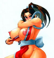 fatal_fury king_of_fighters kunoichi mai_shiranui snk tagme wrato