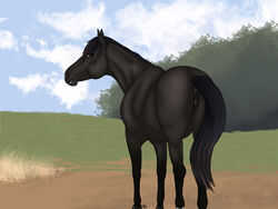 2021 4:3 anatomically_correct anatomically_correct_anus anatomically_correct_genitalia anatomically_correct_pussy animal_genitalia animal_pussy anus ass black_body black_nose black_tail brown_eyes dark detailed_background digital_media_(artwork) equid equine equine_pussy female feral genitals headshot hooves horse looking_at_viewer looking_back mammal mane one_eye_closed portrait presenting presenting_anus presenting_hindquarters presenting_pussy puffy pussy quadruped rear_view smile soft solo stable tabascocat