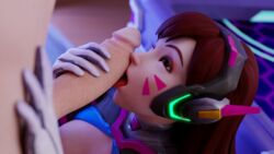 d.va from blizzard entertainment by thecount