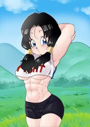 videl from dragon ball by xquid
