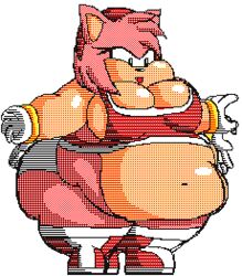 amy_rose animated anthro ass bbw belly_button breasts cleavage eyelashes fat female female_focus female_only flipnote_studio furry hips ill-fitting_clothes jiggle mobian_(species) mrnobodycares nobody-64 overweight overweight_female panties pink_fur sega sonic_(series) sonic_the_hedgehog_(series) thick_arms tight_clothing tongue tongue_out weight_gain wide_hips