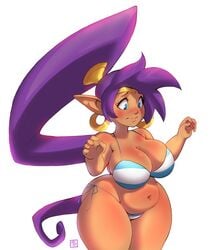 arabian backstreetcrab belly big_breasts bikini breasts chubby female female_only huge_breasts overweight ponytail purple_hair shantae shantae_(character) shortstack slightly_chubby tan thick_thighs