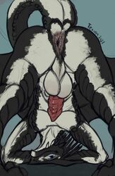 2021 anthro anus ass balls black_body black_scales blue_eyes dragon genitals hi_res looking_at_viewer male presenting presenting_hindquarters pur3 raised_tail scales scalie simple_background smile solo western_dragon white_body white_scales