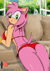 absurd_res amy_rose archie_comics eulipotyphlan female hedgehog hi_res mammal prezer0 sega solo sonic_(series) sonic_the_hedgehog_(archie) sonic_the_hedgehog_(comics) sonic_the_hedgehog_(series)