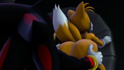 shadow the hedgehog from sonic (series) by blueapple
