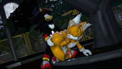 shadow the hedgehog from sonic (series) by blueapple