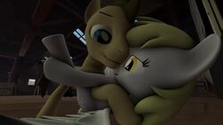 3d animated derpy_hooves doctor_whooves_(mlp) friendship_is_magic moaning my_little_pony my_little_pony_friendship_is_magic sex sfm sound source_filmmaker tagme vaginal_penetration video