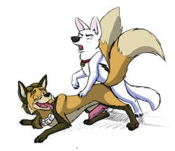 bolt_(character) bolt_(film) canine disney dog feral fur gay male male_only multiple_males nude penis sex tagme yaoi