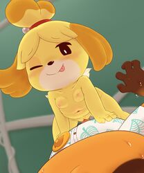 2020 absurd_res animal_crossing anthro anthro_on_anthro anthro_penetrated anthro_penetrating anthro_penetrating_anthro badge bell blush bodily_fluids breasts brown_body brown_fur canid canine canis clothing cowgirl_position domestic_dog dress_shirt duo female female_on_top female_penetrated first_person_view fur furry furry_only hi_res isabelle_(animal_crossing) male male/female male_on_bottom male_penetrating male_penetrating_female mammal mob_face naked navel nintendo nipples nude on_bottom on_top one_eye_closed penetration pink_nipples pussy raccoon_dog sake_kemosalmon sex shih_tzu shirt simple_eyes small_breasts solo_focus sweat tail tanuki tom_nook tongue tongue_out topwear toy_dog vaginal_penetration video_games wince wink yellow_body yellow_fur