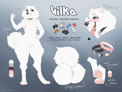 anthro ass blush canid canine canis danomil domestic_dog english_text fangs female fur genitals mammal model_sheet nordic_sled_dog open_mouth open_smile pussy samoyed simple_background smile spitz teeth text vilka white_body white_fur