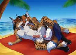 anal anal_sex animal_genitalia animal_penis anthro beach canid canine canine_penis duo erection felid feline fox furry gasp genitals knot leaking_penis luskfoxx lynx male mammal penis seaside sheath testicles theclawedmonster tuka yaoi