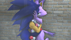 3d anthro blaze_the_cat blue_body dickgirl forehead_jewel furry futanari gem gynomorph hair intersex male male_on_futa penis purple_body shower sonic_(series) sonic_the_hedgehog sonicthebitch standing white_body