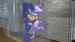 3d anthro blaze_the_cat blue_body dickgirl forehead_jewel furry futanari gem gynomorph hair intersex male male_on_futa penis purple_body shower sonic_(series) sonic_the_hedgehog sonicthebitch standing white_body