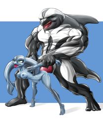 absurd_res anal animal_genitalia animal_penis anthro arms_pulled_back bent_over big_penis blue_body blue_eyes blue_skin cetacean cetacean_penis cross-eyed delphinoid dolphin_tail duo female from_behind_position genitals green_eyes hi_res huge_filesize j-r male male/female mammal marine muscular oceanic_dolphin orca penis sex size_difference stomach_bulge tapering_penis tongue tongue_out toothed_whale