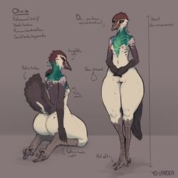 1:1 2021 anthro ass avian beak bird blush breasts english_text feathers female front_view galliform genitals green_eyes head_crest hi_res kneeling model_sheet nipples nude olivia_(yo-lander) peafowl phasianid pussy rear_view small_breasts solo standing tail_feathers talons text wide_hips yo-lander