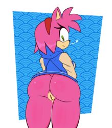absurd_res accessory amy_rose anthro ass bottomless clothed clothing eulipotyphlan eyelashes female genitals green_eyes hair_accessory hairband heart hedgehog hi_res hoodie looking_at_viewer looking_back mammal monamania pattern_background pink_body portrait pussy quills rear_view simple_background smile solo sonic_(series) sonic_the_hedgehog_(series) sweetdandy thick_thighs three-quarter_portrait topwear