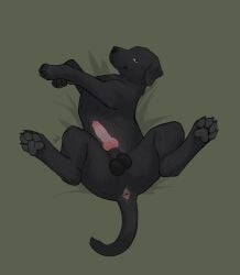 Foggy (Foggydoggy) Rule 34 Image