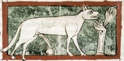 13th Century Rule 34 Image