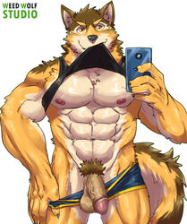 abs anthro balls barrel_(live_a_hero) canid canine canis cellphone clothing english_text flaccid genitals live-a-hero male male_only mammal mirror_selfie muscular muscular_anthro muscular_male nipples pecs penis phone pubes selfie shirt smartphone solo tank_top text topwear underwear underwear_down weedwolfeatmeat wolf