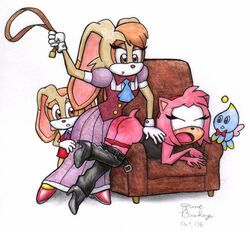 amy rose from sonic (series)
