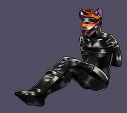 0600hours 1boy animated anthro anthro_only ball_gag blindfold bondage bound felid furry furry_ears furry_only gag gagged gay loop male male_only mammal no_humans pantherine rubber solo squirming submissive_anthro tiger xestyus yaoi