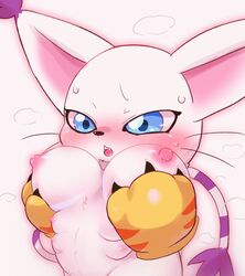 6_breasts badwingm blue_eyes blush bodily_fluids breasts digimon digimon_(species) felid feline female fur gatomon hi_res mammal multi_breast nipples open_mouth semi-anthro simple_background solo video_games white_background white_body white_fur